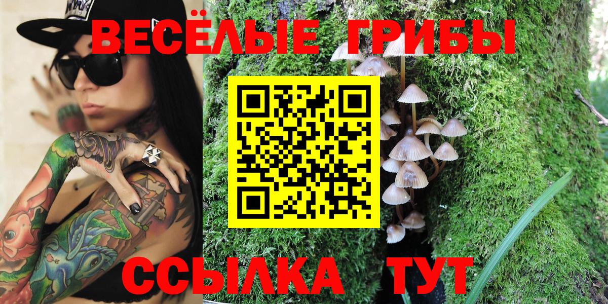 Псилоцибиновые грибы MAGIC MUSHROOMS Чита