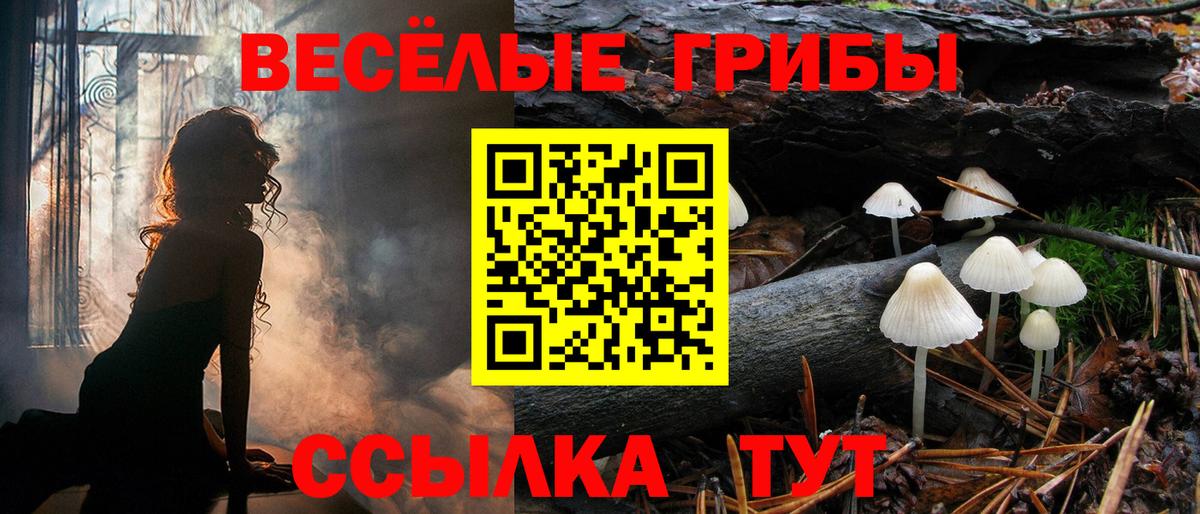 сколько стоит  Вход с VPN  Чита  Галлюциногенные грибы мицелий 
